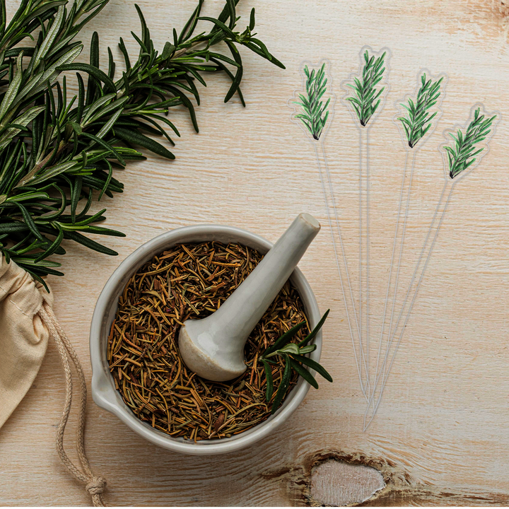 Garnish Pick Set | Eat, Drink & Be Rosemary