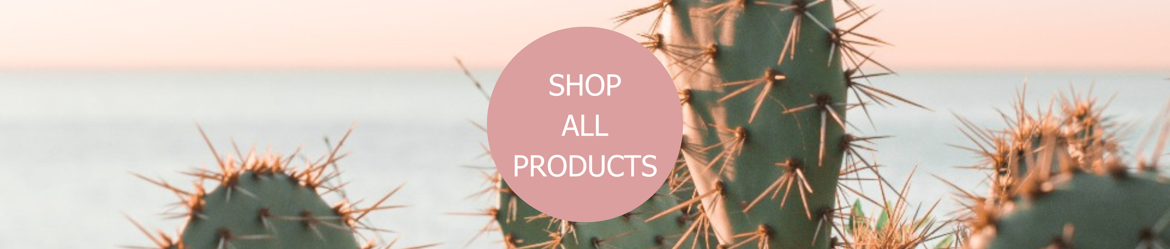 All Products