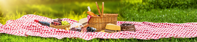 Picnic