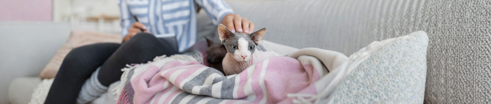 Pets > Pet Adoption