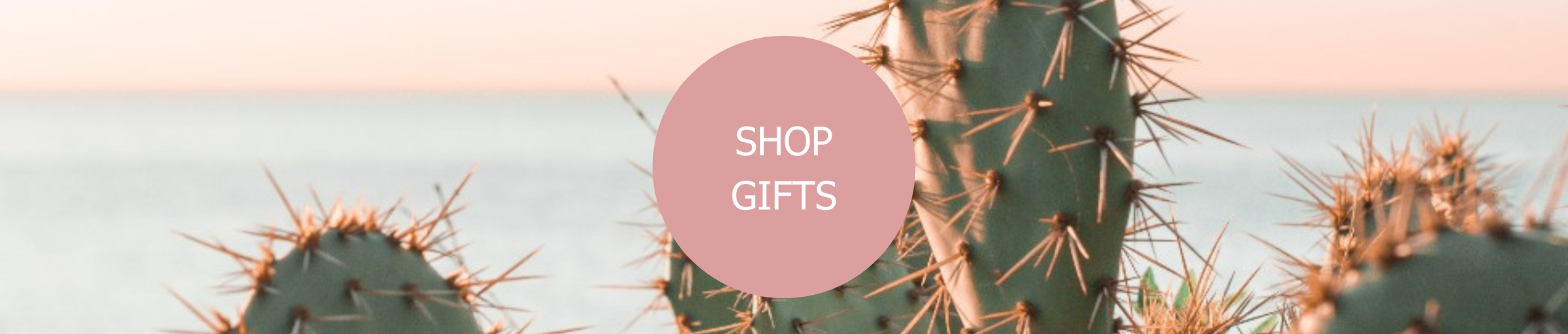 Shop Gifts