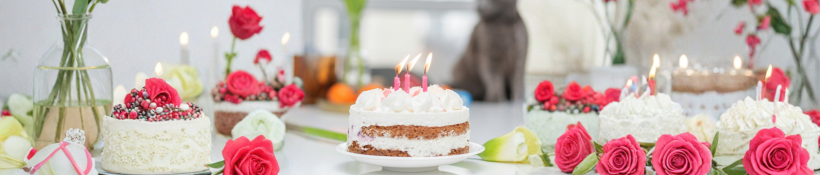 Birthdays > Everyday Birthdays