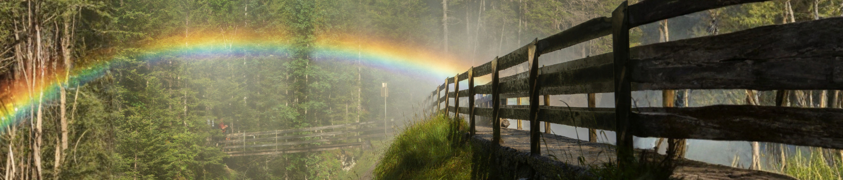 Pet Memorial decorations and remembrance signs