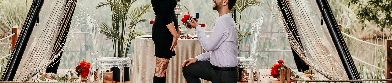 Proposal