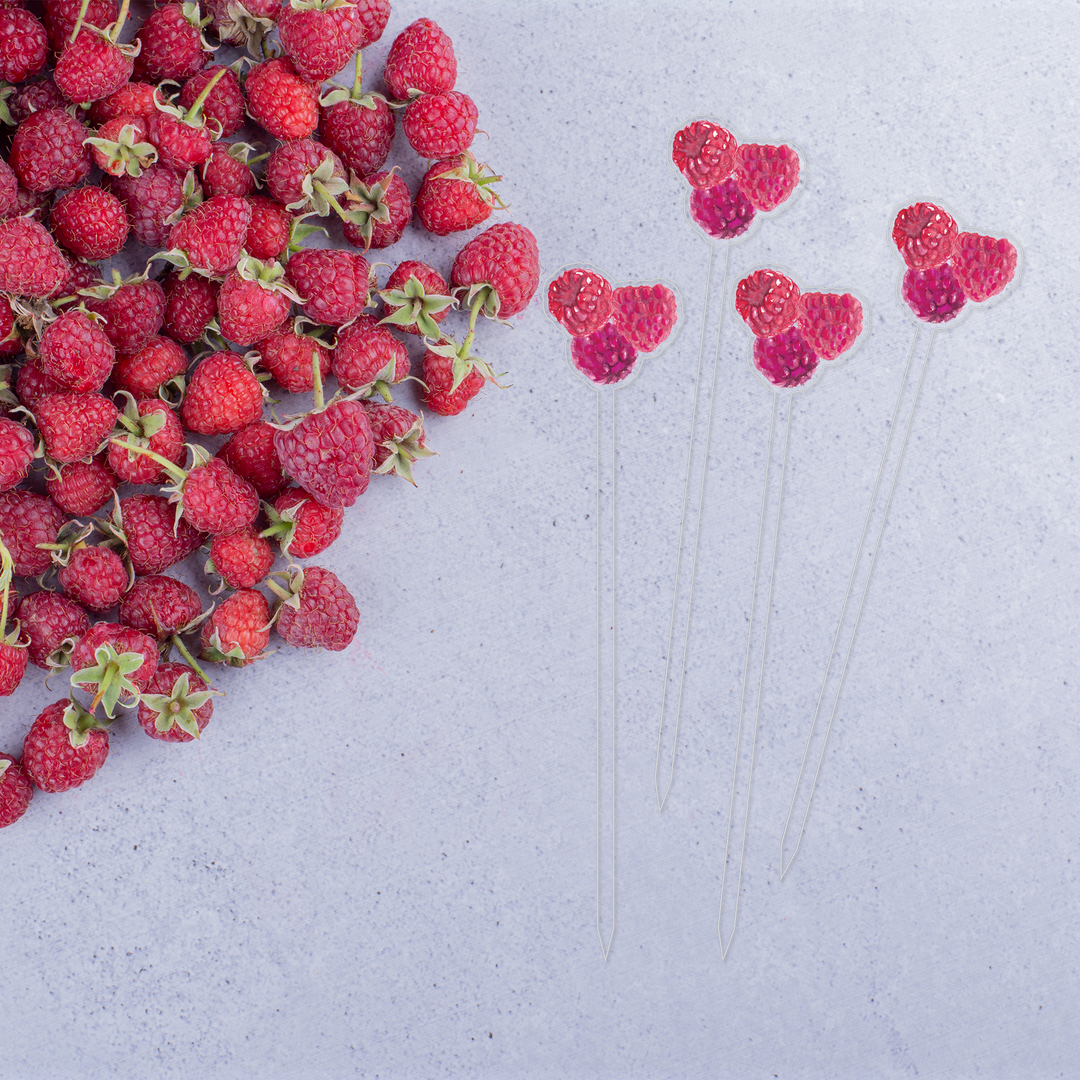 Garnish Pick Set | Bohemian Raspberry