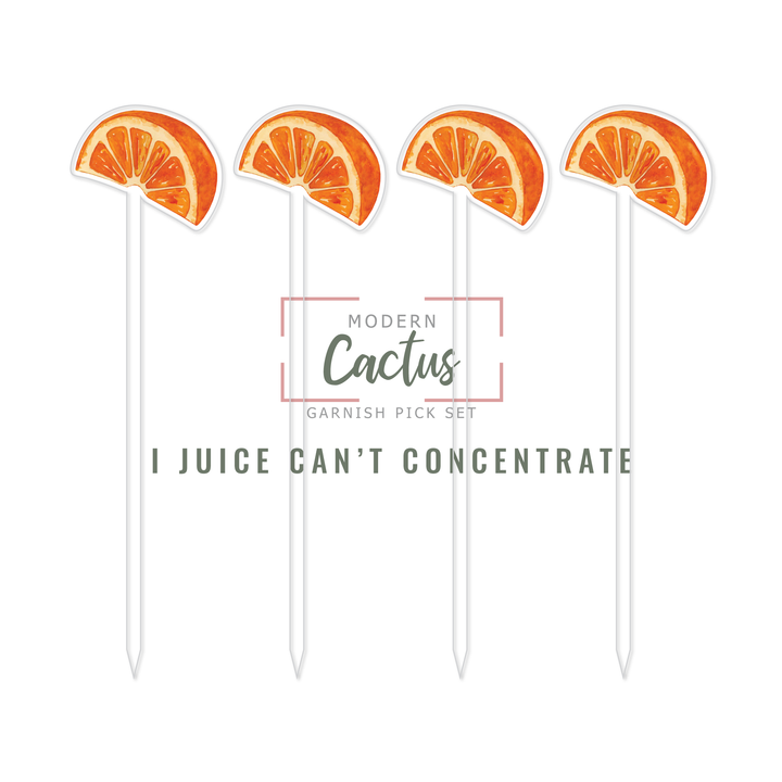 Garnish Pick Set | I Juice Can't Concentrate