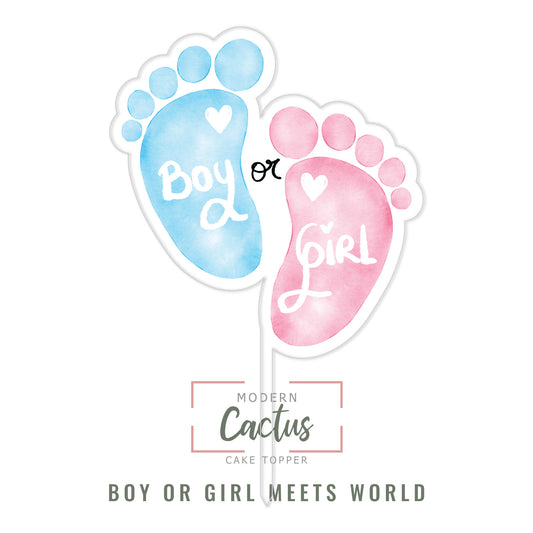 Boy or Girl Meets World cake topper design displayed as a clean digital artwork mockup.