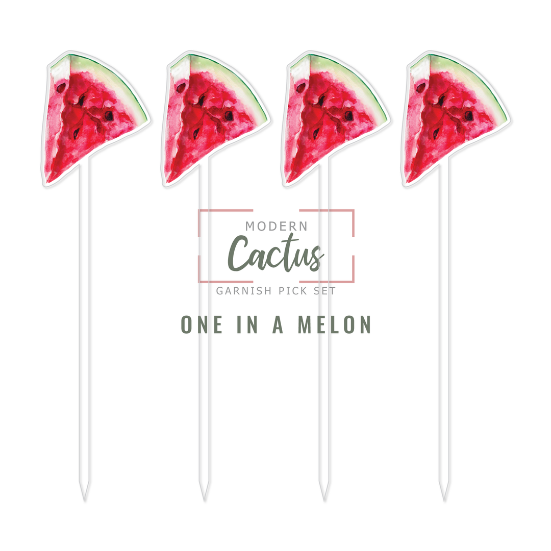 Garnish Pick Set | One In A Melon