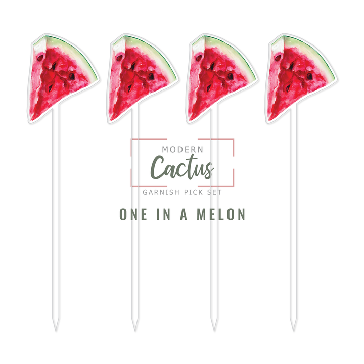 Garnish Pick Set | One In A Melon