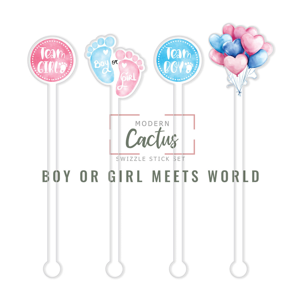 Boy or Girl Meets World acrylic swizzle stick design displayed as a digital mockup