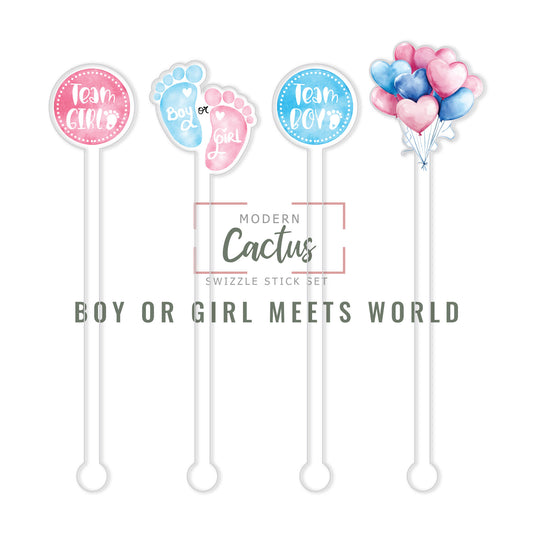 Boy or Girl Meets World acrylic swizzle stick design displayed as a digital mockup